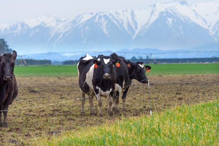 2915 West Coast Road Darfield_14