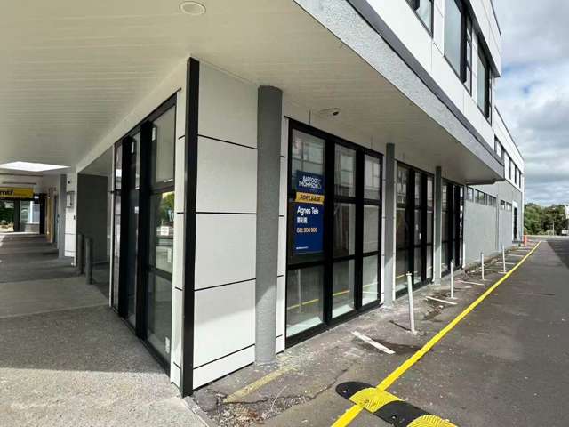 3067 Great North Road New Lynn_1