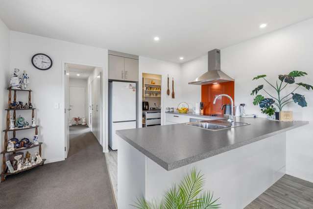 48 Hartis Avenue Huntly_3