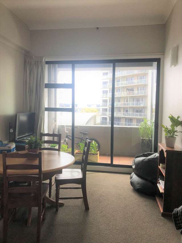 3a/18 Hobson Street Auckland Central_2