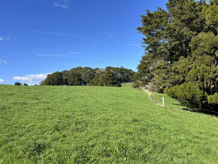 678 Waiuku Road Mauku_7