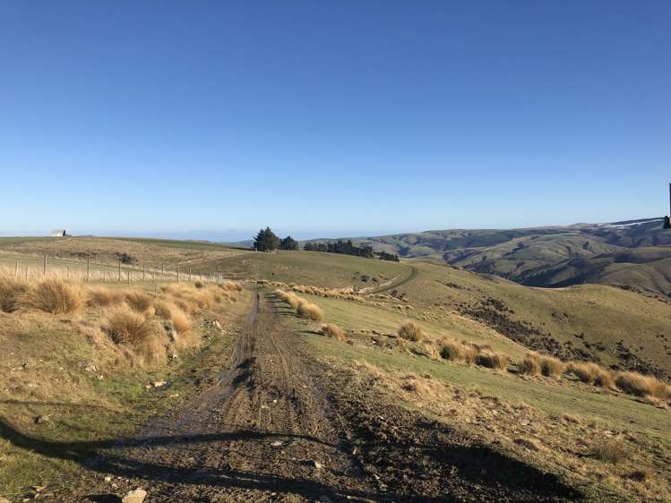 901 Wilden Runs Road West Otago Surrounds_20