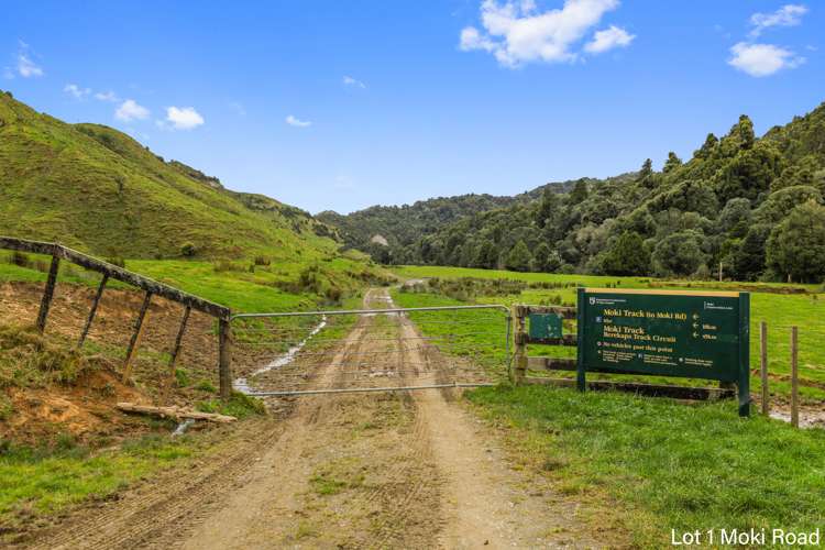 Lot 1 Moki Road, Tahora Taumarunui_14