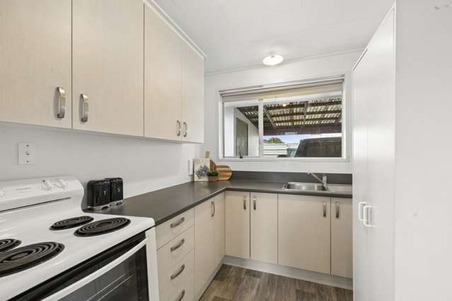 17B Bradshaw Street South Dunedin_1