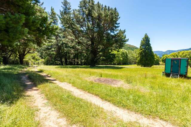 477 Wakamarina Road Canvastown_4