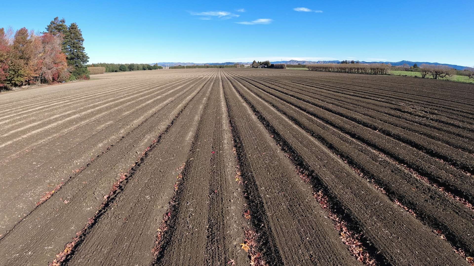 234 Bushmere Road Hexton Gisborne District Houses for Sale One Roof