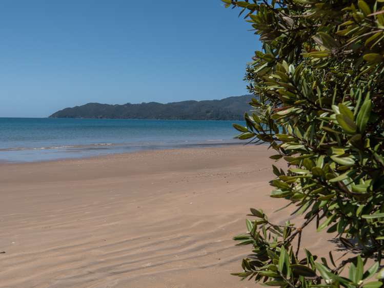 36 Bayside Drive Coopers Beach_19