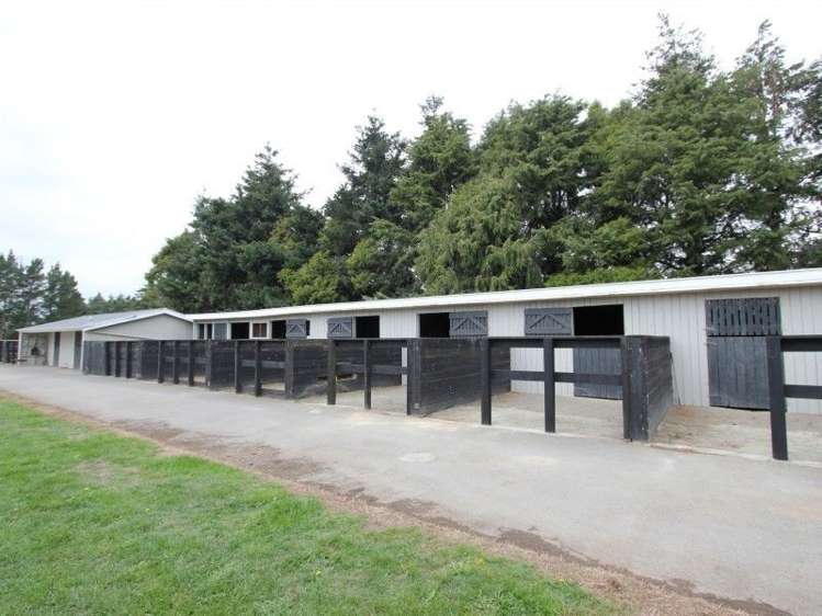 219 Hinds Highway Tinwald_4