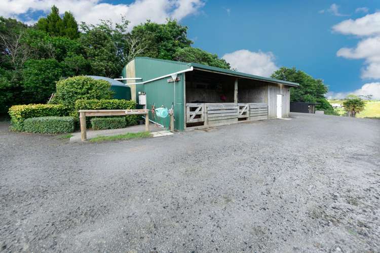 328 Horseshoe Bush Road Dairy Flat_25