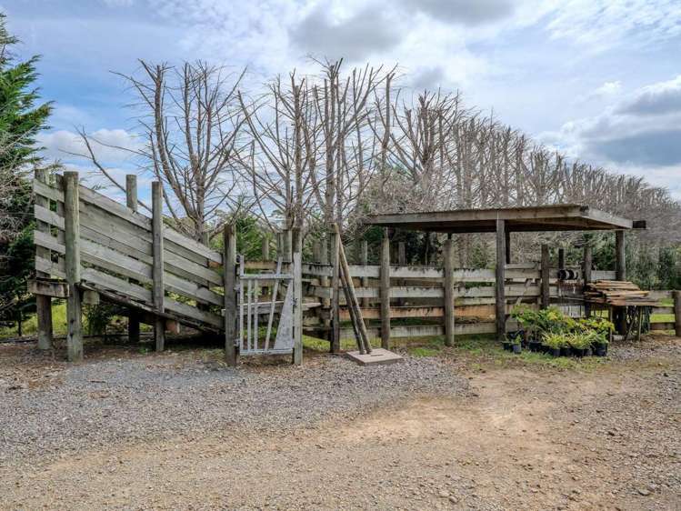 89 Conifer Lane Kerikeri_28