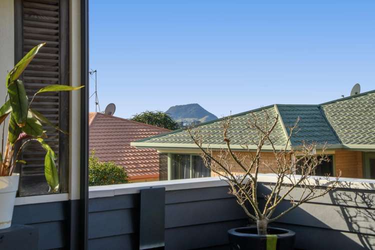 227A Waihi Road Judea_18