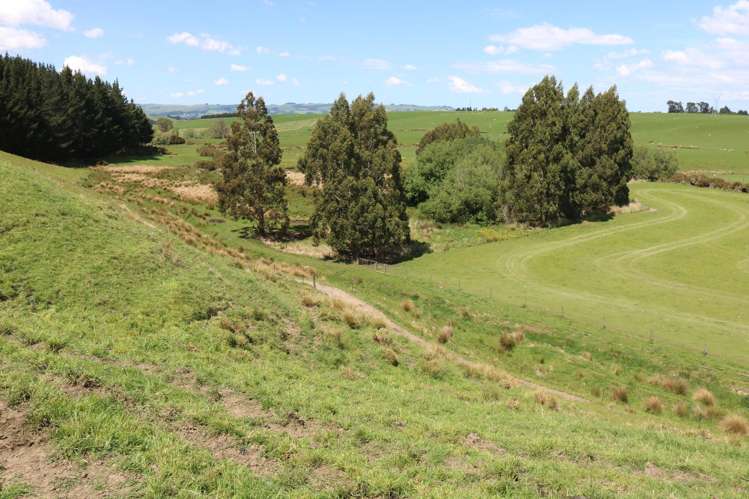 669B Waimumu Road Gore_9