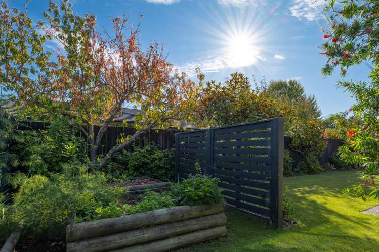 10 Windsor Close Springlands_22