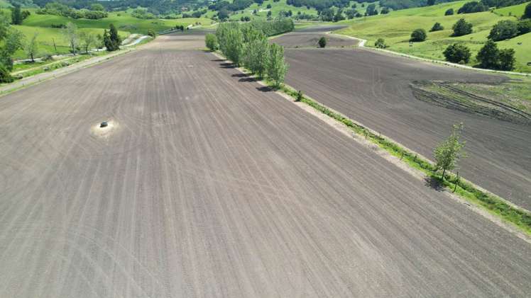 95 Mason Road Maromaku_7