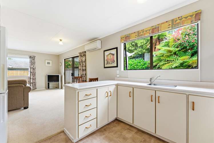 32A Parkes Avenue St Johns Hill_10