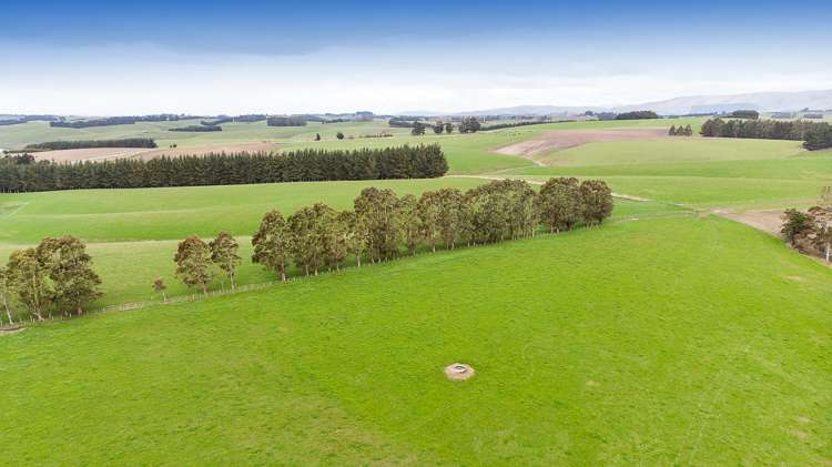 675 Black Bridge Road Clutha_8