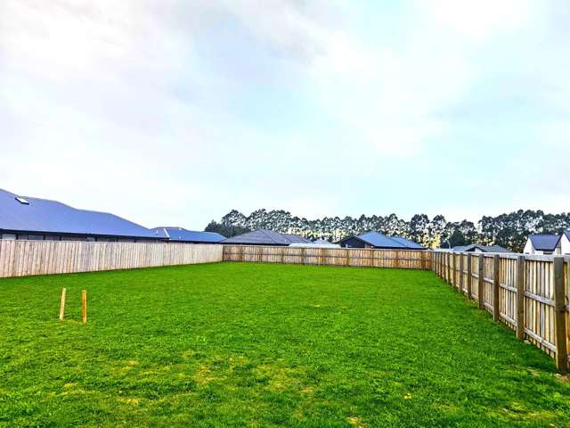 22 Rosalind Avenue Darfield_3