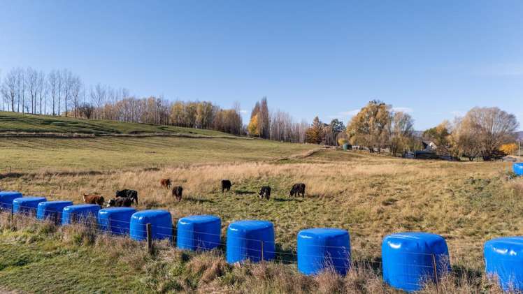 202 Blackman Road Alexandra_27