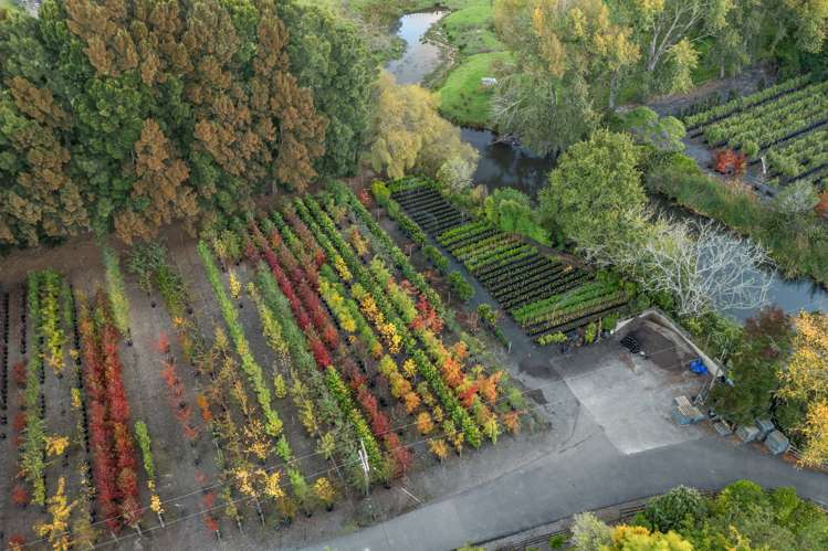 774 Dairy Flat Highway Dairy Flat_4