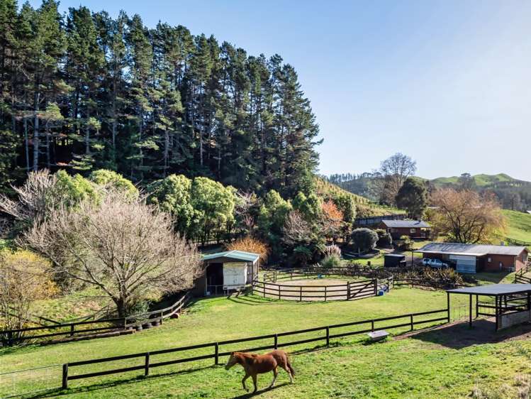 402a Crawford Road Wairoa_30
