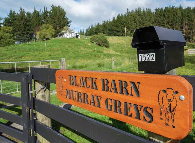 1522 State Highway 2 Wairoa_1