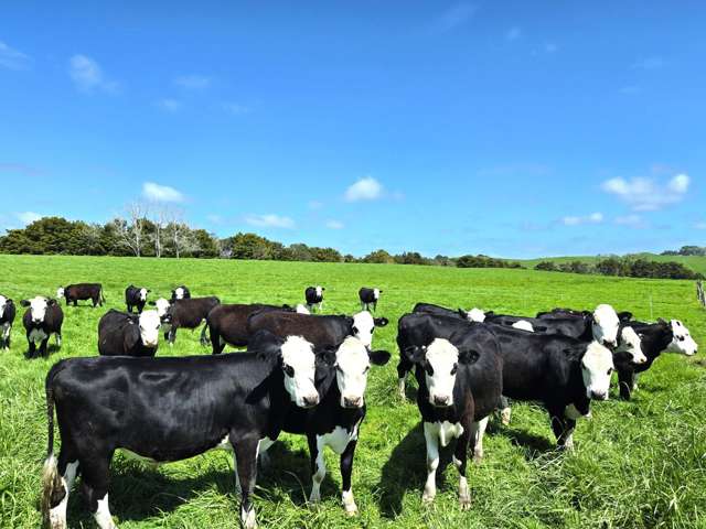 284 Marohemo Road Maungaturoto_1