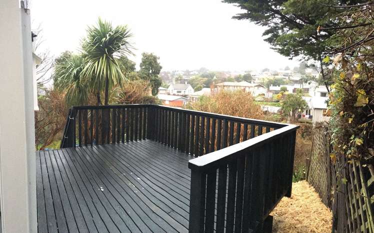 12 Dalry Street Mornington_8