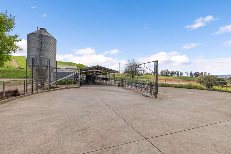 58 Nicholson Road Piarere_10