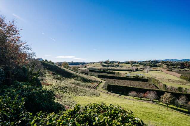 227 Wairoa Road Te Puna_2