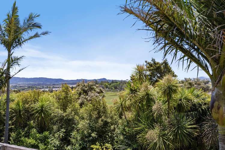 1683 Tomarata Road Mangawhai_22