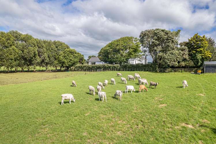 218 Parahaki Road Waverley_31