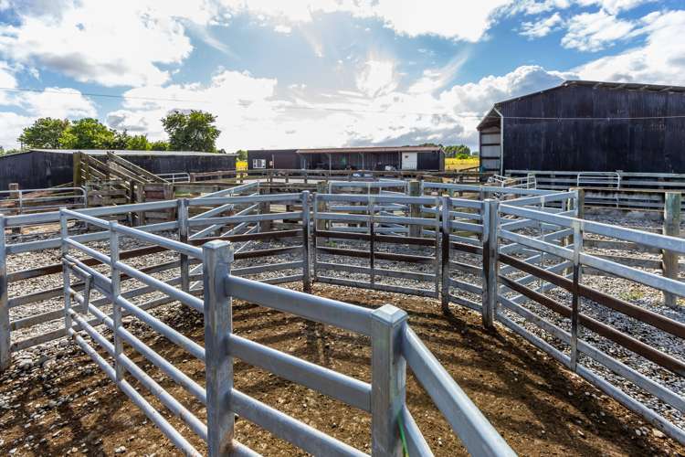 589 Coutts Island Road Coutts Island_12