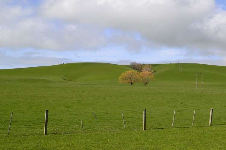 38 Greenall Road Balclutha_10