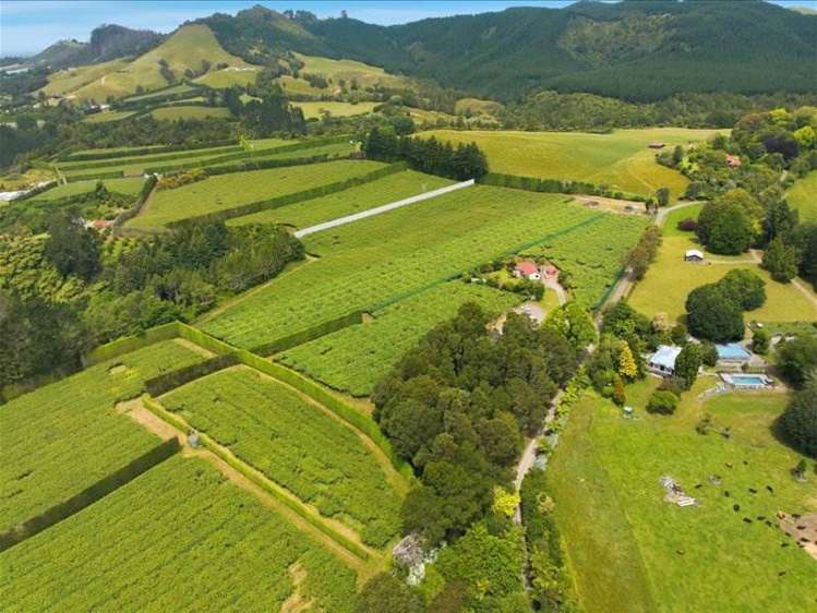 1399A No. 3 Road Te Puke_18