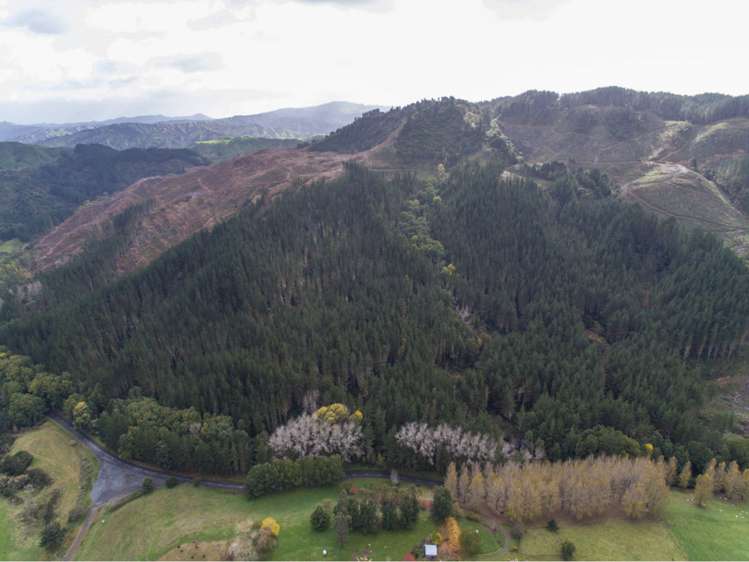 15 State Highway 49 Ohakune_7