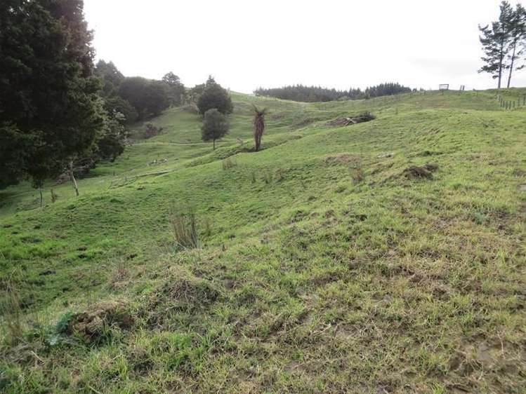 565 Bickerstaffe Road Maungaturoto_14