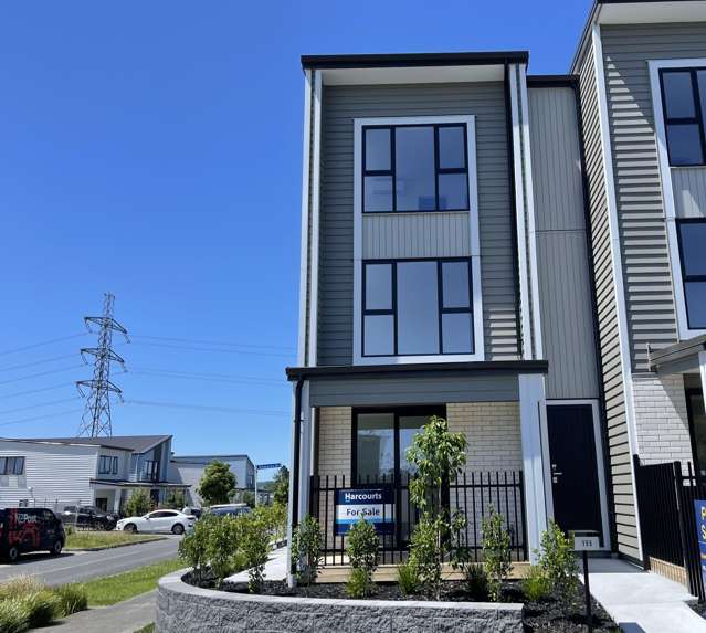 Beautiful Brand-New Corner Home