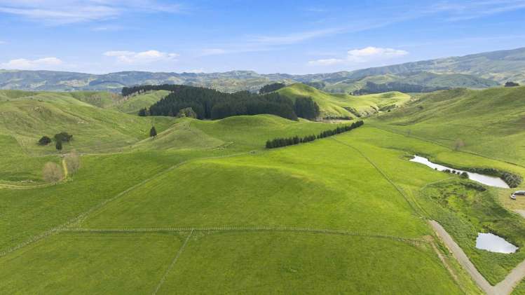 447 Pinfold Road Papatawa_1