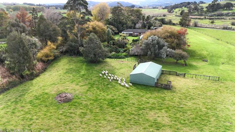 11 Guy Road Kaipara Flats_27