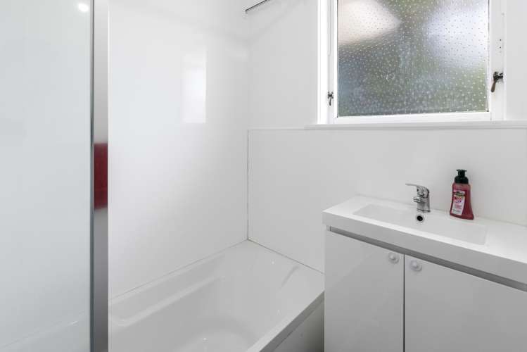 24 Mahoe Street Levin_7