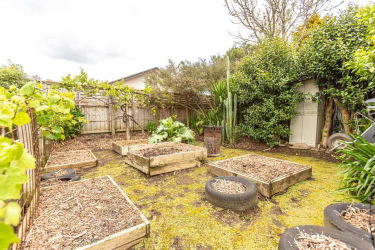 5 Bush Street Paeroa_20