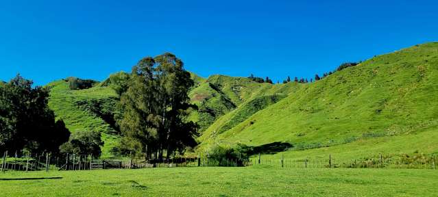 36 Kirikau Valley Road Taumarunui_3