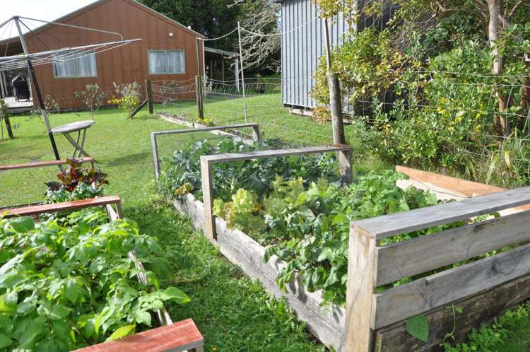 111 Woodcocks Road Warkworth_20