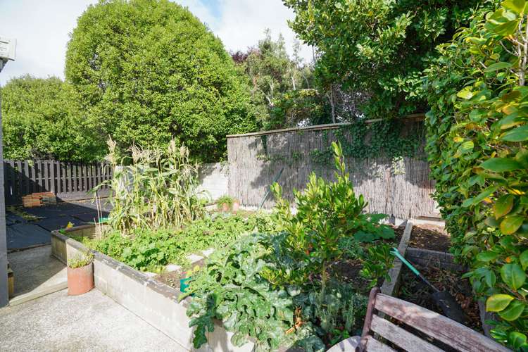 59b Gladstone Terrace Gladstone_17