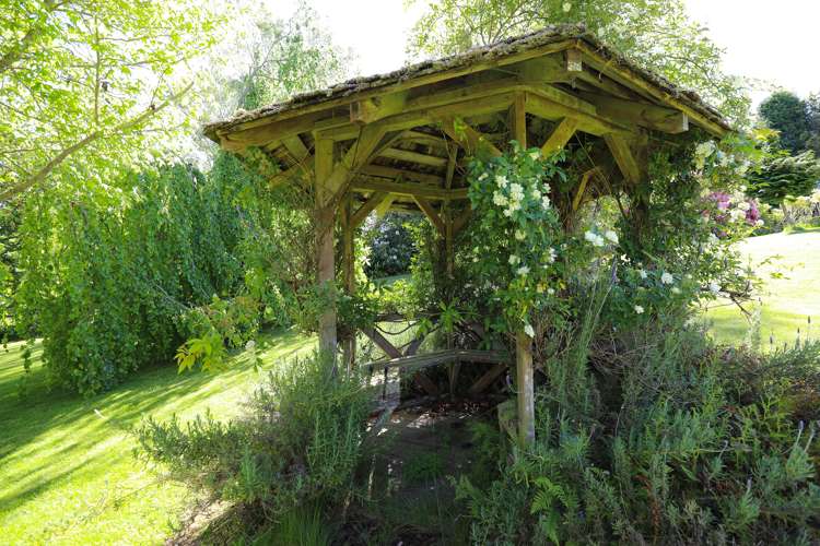 7 Deborah Rise Maunganamu_41