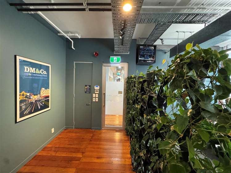 Level 1, 2-12 Allen Street Te Aro_12