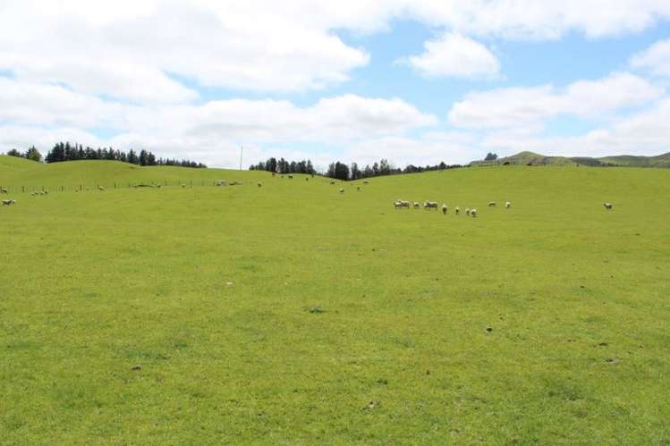 378 Ridgemount Road Tutira_11