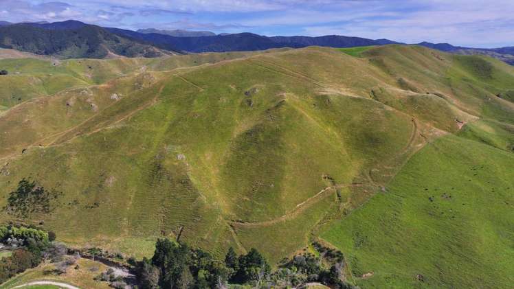 Mikimiki Road Masterton_10