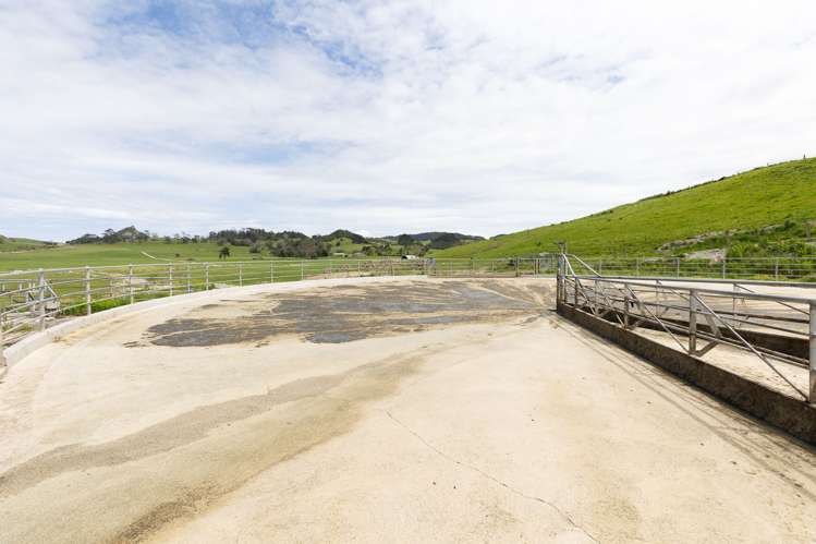 220 Blong Road Ruawai_12