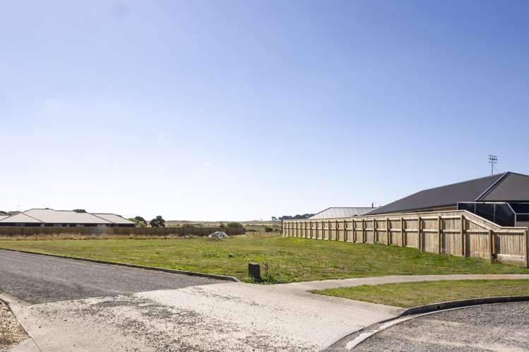 36 George Street Bulls_3